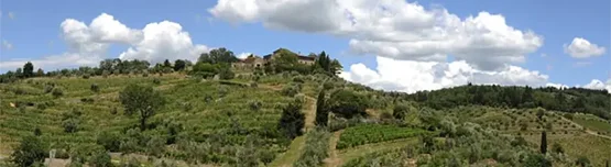 Colli della Toscana Centrale IGT