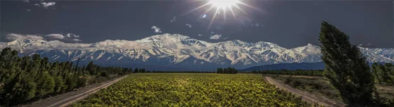 Mendoza Region