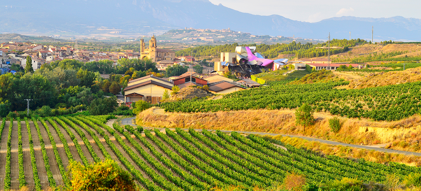 Rioja Alta Wine Region