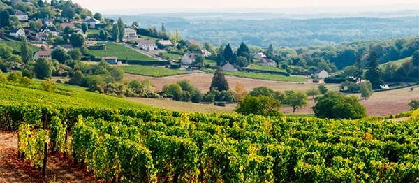 sancerre wine region