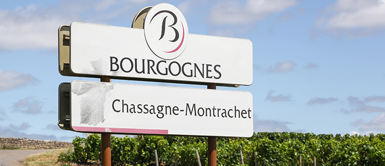 Chassagne-Montrachet wine region